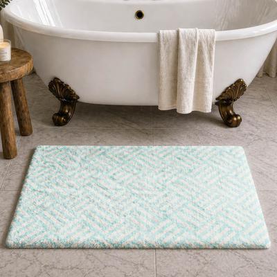 Addison Rugs Premium Washable Super Soft Modern Agar Dream Shag Rug