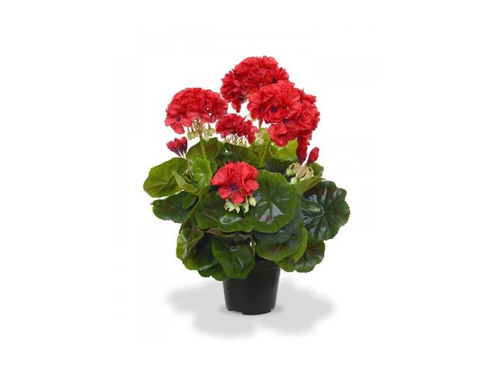 Kunstblume BOTANIC-HAUS Geranien in Topf 40 cm , rot, B:25cm H:40cm, Kunststoff, Kunstpflanzen, Kunstblume