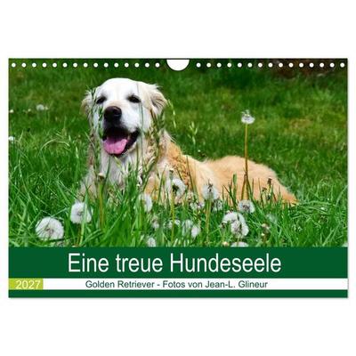 Eine treue Hundeseele - Golden Retriever (Wandkalender 2027 DIN A4 quer), CALVENDO Monatskalender