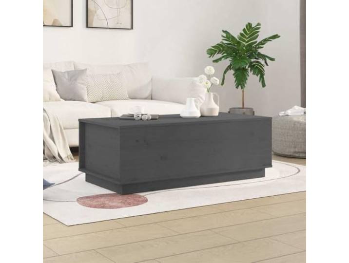 HEFZGDB Couchtisch Grau 100x50x35 cm Massivholz Kiefer mit Hebeplatte und 2 Stauraumfächern - Stilvoller Wohnzimmertisch aus massivem Kiefernholz für Eleganz und Funktionalität