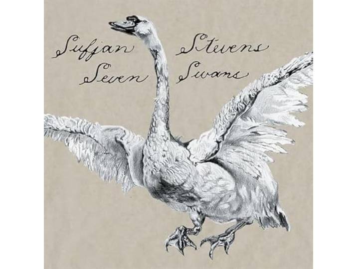 Sufjan Stevens - Seven Swans