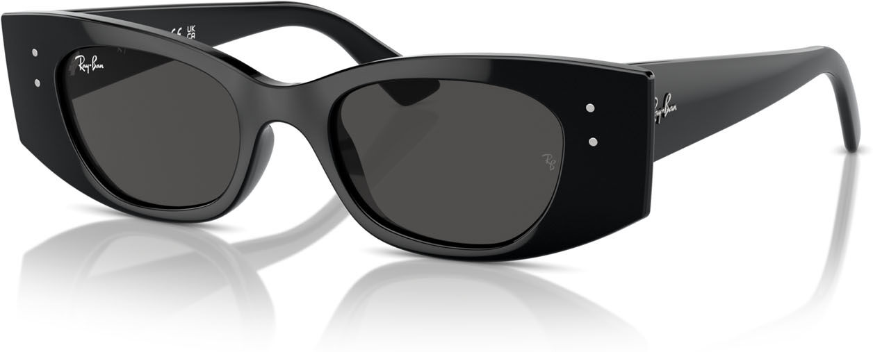 Ray-Ban RB 4427 (667787)