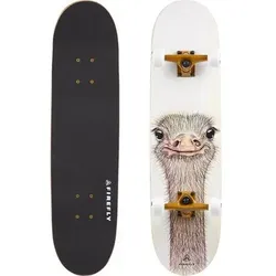 FIREFLY Skateboard SKB 505, Größe ONE SIZE in Weiß Weiß