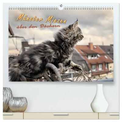 Münster Miezen - über den Dächern (hochwertiger Premium Wandkalender 2027 DIN A2 quer), Kunstdruck in Hochglanz