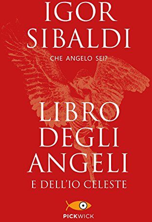 Igor Sibaldi - Libro degli angeli e dell'io celeste. Che angelo sei? - Preis vom 13.10.2026 19:28:25 h