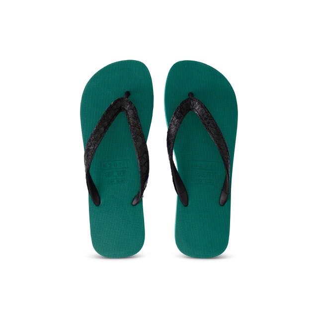 Uzurii Python black bosgroen