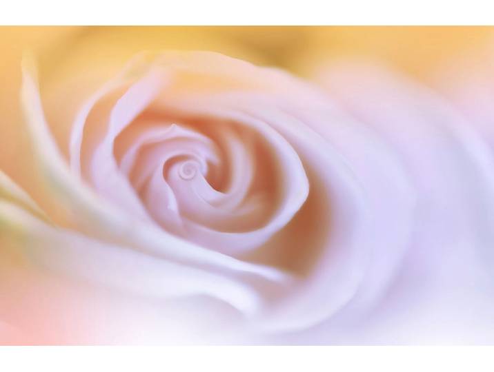 Papermoon Zen Wassertropfen mit Blume Makro