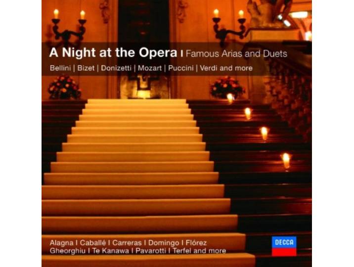 An Evening at the Opera