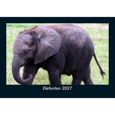 Elefanten 2027 Fotokalender DIN A5