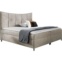 BOXBETT Bergamo - H3