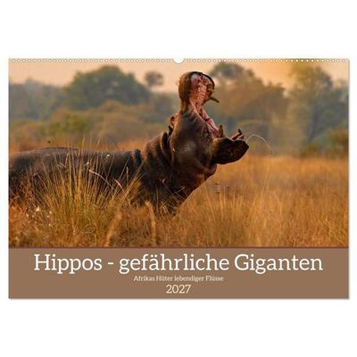 Hippos - Gefährliche Giganten (Wandkalender 2027 DIN A2 quer), CALVENDO Monatskalender