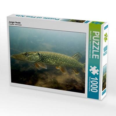 Junger Hecht (Puzzle)