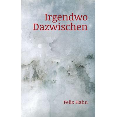 Irgendwo Dazwischen, Taschenbuch von Felix Hahn, BoD – Books on Demand, 978-3-7460-8148-9