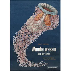 Wunderwesen aus der Tiefe. Ernst Haeckel, Kinderbücher von Ernst Haeckel
