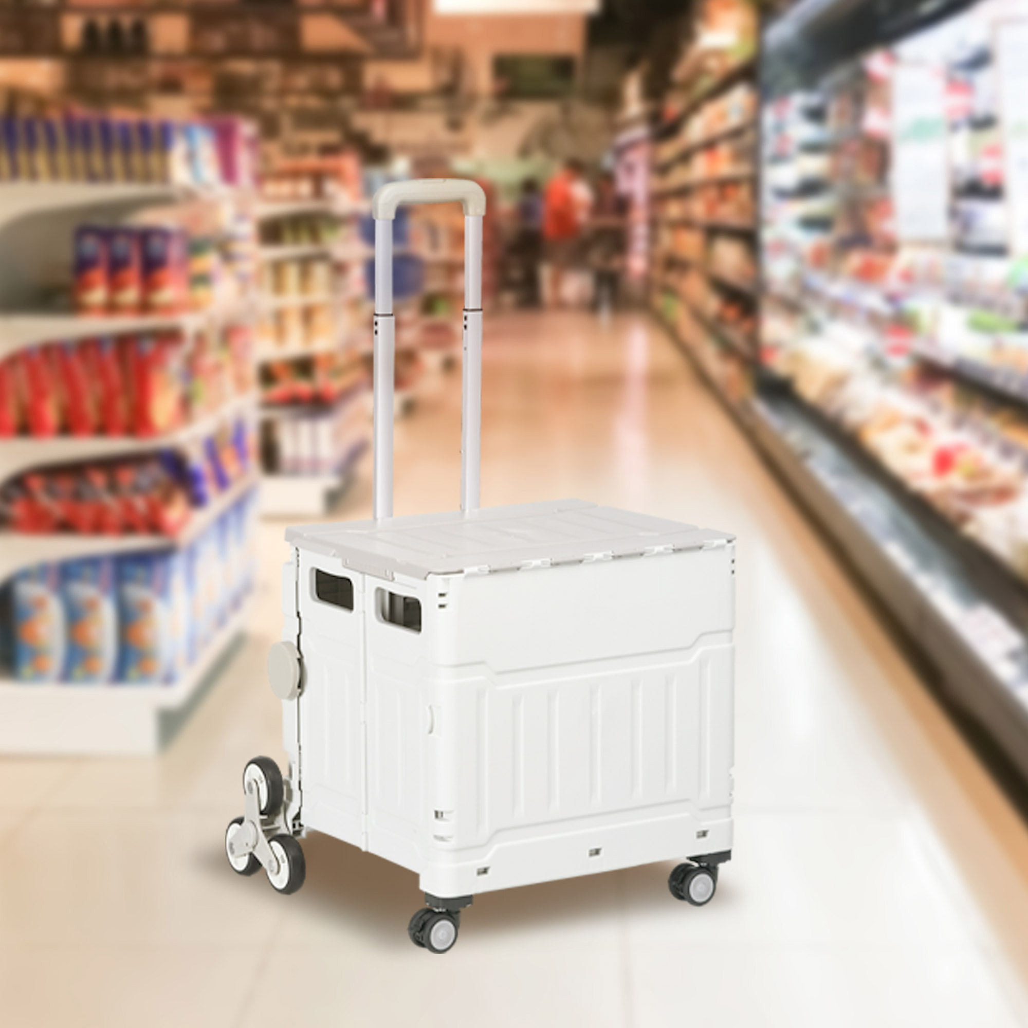 Homcom Carrello Spesa Pieghevole con Ruote per Scale e Manico Telescopico, 52x48x100 cm, Bianco   Aosom Italy