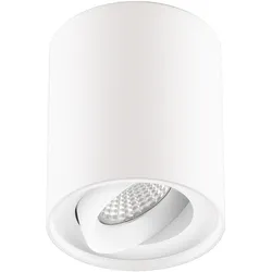 EVN-Lichttechnik, Deckenleuchte, LED-Anbauleuchte (900 lm)