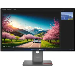 Lenovo ThinkVision P32UD-40 4K Ultra HD Display 80 cm (31.5")