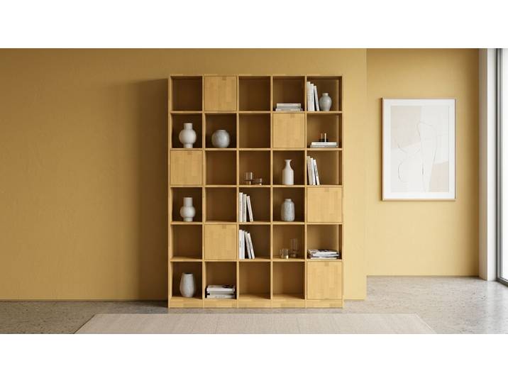 Stylisches Wohnzimmerregal - Regalsystem mit vielen Optionen Buche Natur geölt
