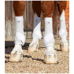 Premier Equine, Pferdebeinschutz, (L)