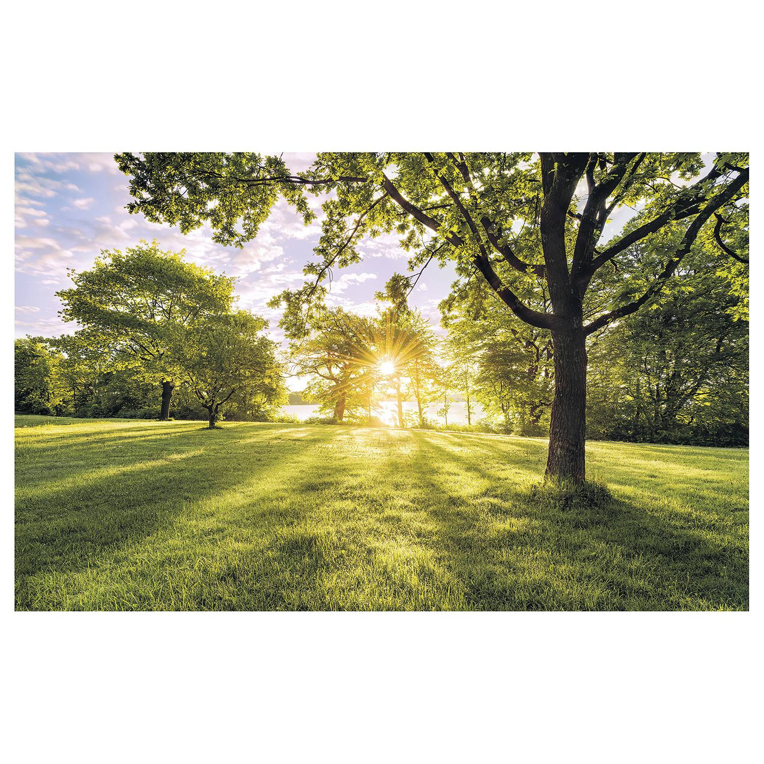 home24 Fotobehang Golden Moment II B: 400 cm, H: 250 cm