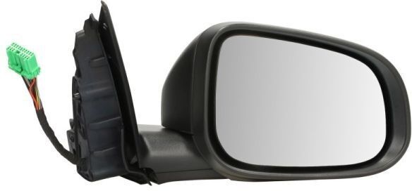 BLIC 5402-24-1517315P Wing mirror
