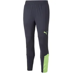 PUMA individualFINAL Trainingshose Herren parisian night/fizzy light M