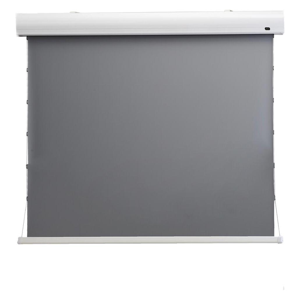 Celexon HomeCinema Dynamic Slate ALR (120", 16:9) (1000008119)