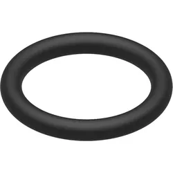 O-Ring 15,54x2,62 (5x) - 8738808504