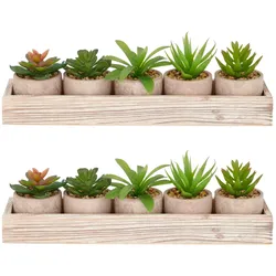 CREATIV green künstliche Pflanze Sukkulenten-Set im Holzkasten 5 Pflanzen 8-10cm im 6x5cm Topf, grün, im 2er Set