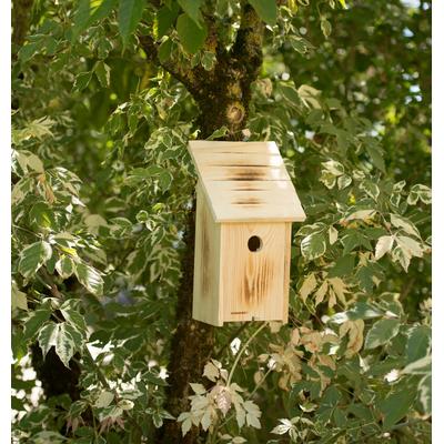 Nistkasten WINDHAGER "aus massivem Pappelholz, sicherer Brutplatz für Vögel", braun (holzfarben), B:18cm H:33,5cm T:18cm, Massivholz, Tierhäuser, Brutquartier einfach zu reinigen, inkl. Aufhängung