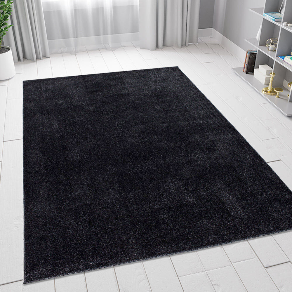 Rio Heasley Rectangle Area Rug Anthracite Rectangle 120cm x 170cm