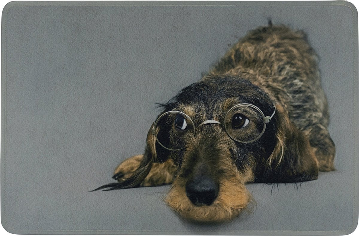 Mars & More Deurmat met Humorvolle Teckel met Bril B/D: 75 x 50 cm