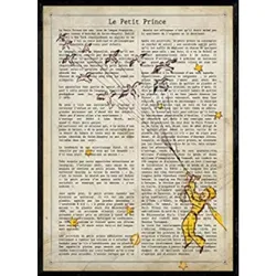 POSTER Der Kleine Prinz Vögel. A4 Rahmenlos