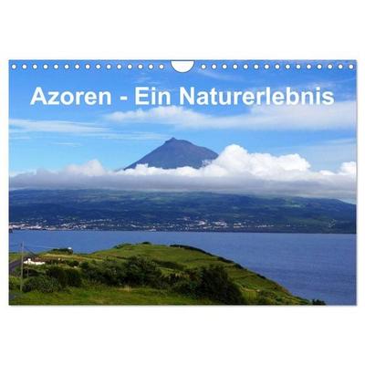 Azoren - Ein Naturerlebnis (Wandkalender 2026 DIN A4 quer), CALVENDO Monatskalender