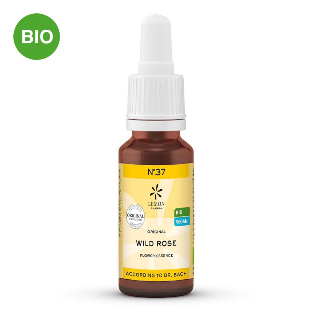 Hager Pharma GmbH Bachblüte Nummer 3 7 Wild Rose Bio 10310888