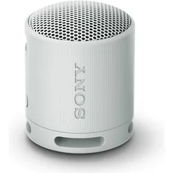 Sony SRS-XB100 (16 h), Bluetooth Lautsprecher, Grau