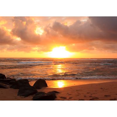 Fototapete PAPERMOON "Sunrise Lihue Beach", bunt, B:5m L:2,8m, Vlies, Tapeten