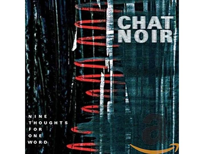 Chat Noir - Nine Thoughts For One..