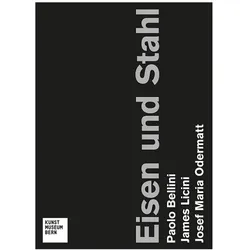 Eisen und Stahl, Fachbücher von Mario Botta, Matthias Frehner, Ulrich Loock, Rudy Chiappini