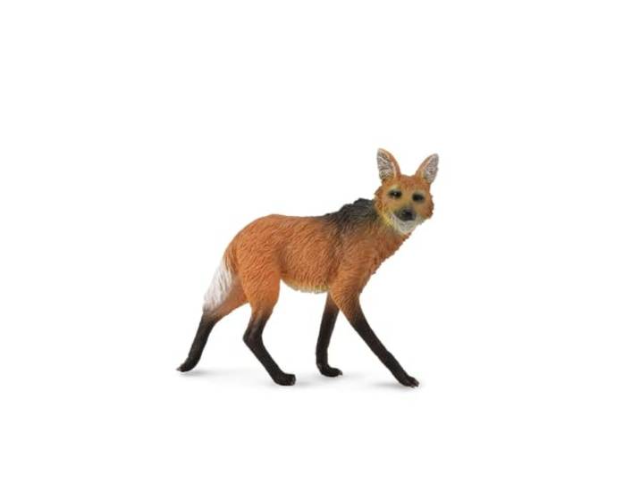 Wilk Maned L