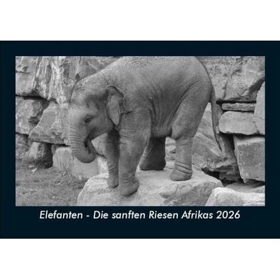 Elefanten - Die sanften Riesen Afrikas 2026 Fotokalender DIN A5