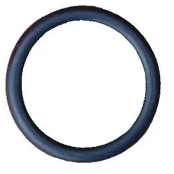 Polaris - O-Ring 25,0 x 3,5 für Flaschenventil