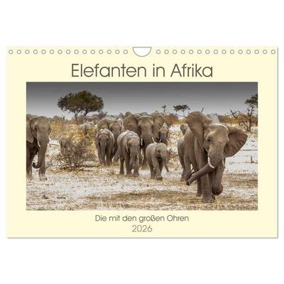 Elefanten in Afrika - Die mit den großen Ohren (Wandkalender 2026 DIN A4 quer), CALVENDO Monatskalender