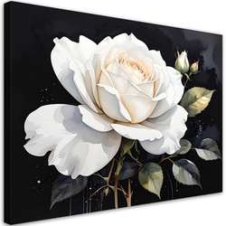 LEINWANDBILD, Weiße Rosenblüte auf schwarzem Hintergrund