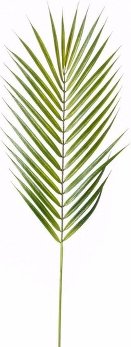Kunstplant Chamaedorea palm met palmbladeren, 75 cm