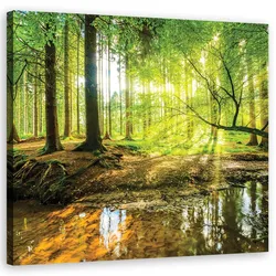 LEINWANDBILD Forest Lake Natura 40x40cm