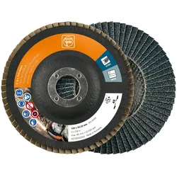 Fein, Schleifmittel, Fächerschleifscheibe Korn 40 125 mm (40)