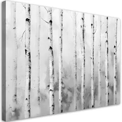 WANDBILD birkenwald landschaft natur