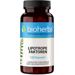 Lipotrope Faktoren 100 Kapseln