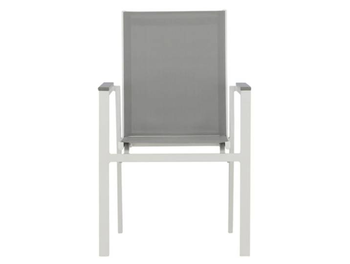 Lot de 2 chaises de jardin avec accoudoirs gris